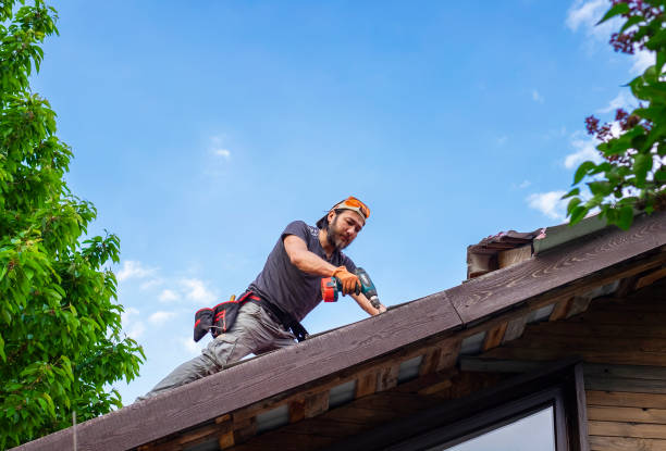 Best 4 Ply Roofing  in Beulaville, NC
