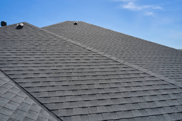 Best Roofing for New Construction  in Beulaville, NC